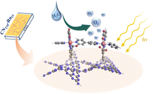 Graphical abstract: Supramolecular interaction of a molecular catalyst with a polymeric carbon nitride photoanode enhances photoelectrochemical activity and stability at neutral pH