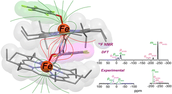 Graphical abstract: Probing substrate binding inside a paramagnetic cavity: a NMR spectroscopy toolbox for combined experimental and theoretical investigation