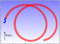 Graphical abstract: Viscotaxis of beating flagella