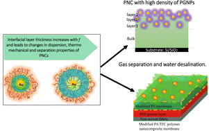 Graphical abstract: Harnessing interfacial entropic effects in polymer grafted nanoparticle composites for tailoring their thermo-mechanical and separation properties