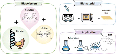 Graphical abstract: Ionic-liquid-processed keratin-based biocomposite films with cellulose and chitin for sustainable dye removal