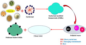 Graphical abstract: Surfactant-influenced biosorption as a sustainable and effective way for the eradication of environmental pollutants: a review