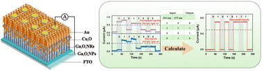 Graphical abstract: Self-powered solar-blind ultraviolet-visible Cu2O/Ga2O3 photodetectors