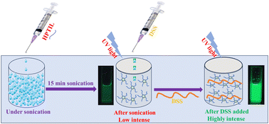 Graphical abstract: Rapid and sensitive detection of dextran sulfate based on an ionic liquid-based turn-on micro-optode