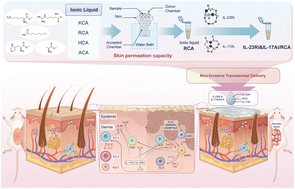 Graphical abstract: Non-invasive transdermal delivery of peptide inhibitors of the IL-23/IL-17 axis by novel ionic liquid biomaterials for psoriasis treatment