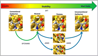 Graphical abstract: Adsorption modes of cysteine on gold: from neutral molecules to unconventional zwitterions