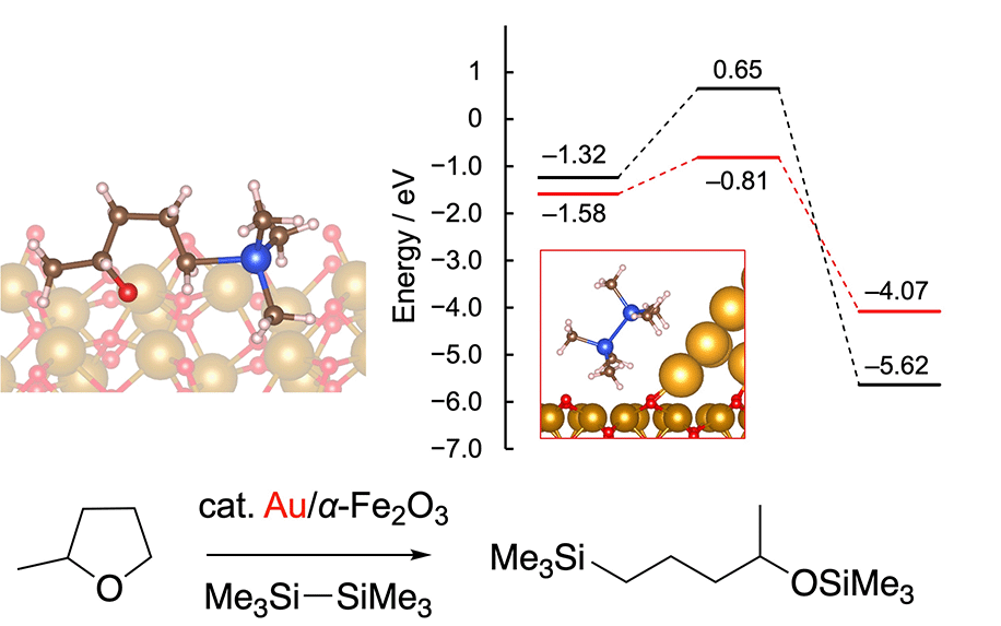 Graphical abstract: Reaction mechanism of silylation of C–O bonds in alkyl ethers over supported gold catalysts: experimental and theoretical investigations