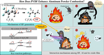 Graphical abstract: Mechanism study on enhancing the combustion performance of aluminum with polyvinylidene fluoride