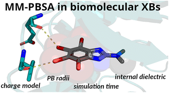 Graphical abstract: Impact of the halogen PB radii in the estimation of protein–ligand binding energies using MM-PBSA calculations