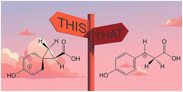 Graphical abstract: The product of NH3 loss from gas phase protonated tyrosine