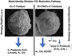 Graphical abstract: A comparative study of electrochemical CO2 reduction on hydrothermally synthesized carbon nanosphere-supported Ni-, Cu-, and NiCu-hydroxide catalysts