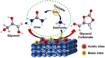 Graphical abstract: Zinc alendronate as an ossified catalyst for glycerol valorization to glycerol carbonate using urea as a CO2 surrogate