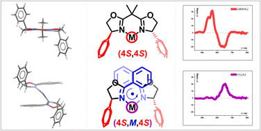 Graphical abstract: Induction of helical chirality in tetrahedral transition metal complexes with non-bridging monodentate oxazolines
