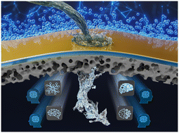 Graphical abstract: Machine learning-driven design of membranes for saline and produced water treatment across scales