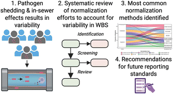Graphical abstract: Assessing normalization methods in wastewater based epidemiology: a systematic review