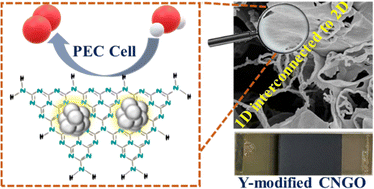 Graphical abstract: Enhanced activity and stability of polymeric carbon nitride photoanodes by yttrium incorporation