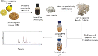 Graphical abstract: Freeze-dried microencapsulation of bergamot pomace extract: stability and antioxidant performance in hydrophilic and lipophilic systems