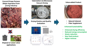 Graphical abstract: Microwave vacuum drying of Concord grape (Vitis labrusca) pomace: drying kinetics and quality attributes for enhanced valorization