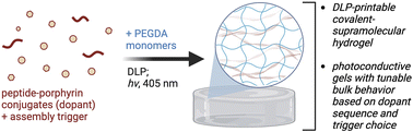 Graphical abstract: Supramolecular peptidic dopants for inducing photoconductivity and mechanical tunability in digital light processable hydrogels