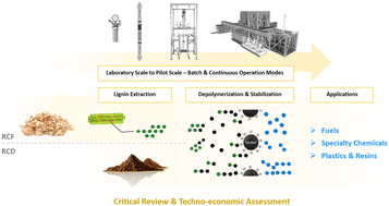 Graphical abstract: From lignin to market: a technical and economic perspective of reductive depolymerization approaches