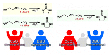 Graphical abstract: A comparative study on heterogeneous CeO2 and homogeneous 1,8-diazabicyclo[5.4.0]-7-undecene catalysts for conversion of CO2 and monoethanolamine/ethylenediamine into cyclic compounds