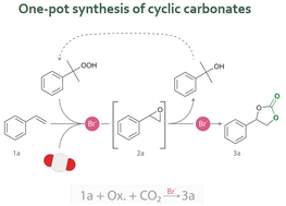 Graphical abstract: A one-pot organocatalytic process for the synthesis of cyclic carbonates from CO2 and alkenes using cumene hydroperoxide as a green oxidant