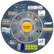 Graphical abstract: Present and future of smart functional materials as actuators in microfluidic devices