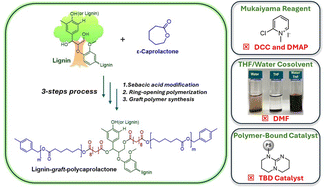 Graphical abstract: Sustainable synthesis methods of lignin-based copolymers: recyclable non-carbodiimide catalytic systems in aqueous solvent