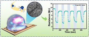 Graphical abstract: Highly selective ammonia sensing at room temperature using DC plasma-modified MoS2 nanoflowers