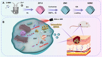Graphical abstract: MOF-derived nanozymes loaded with botanicals as multifunctional nanoantibiotics for synergistic treatment of intracellular antibiotic-resistant bacterial infection