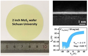 Graphical abstract: Growth of highly uniform 2-inch MoS2 wafers using liquid precursor spraying