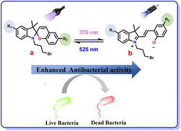 Graphical abstract: Synthesis, photochromic properties, and bioactivity of spiropyrans with electron-donating/withdrawing substituents on indoline and [2H]-chromene rings
