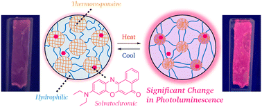 Graphical abstract: Fast and controlled thermoresponse in the photoluminescence of well-designed hydrogels of two separate nanodomains with solvatochromic dyes