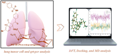 Graphical abstract: Carrageenan grafted with acrylic acid and sulfonamide induces apoptosis and suppresses proliferation in A549 lung cancer cells: synthesis, cytotoxicity, gene expression, and in silico studies