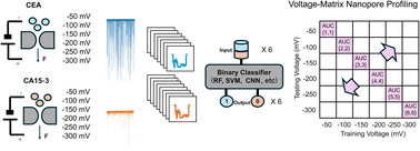 Graphical abstract: Voltage-matrix nanopore profiling for the discrimination of protein mixtures