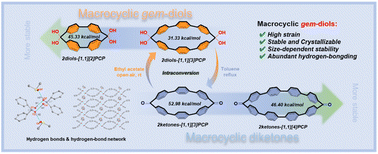 Graphical abstract: Macrocyclic geminal diols: synthesis, structures, stability and photophysical properties