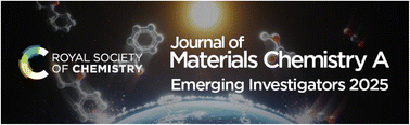 Graphical abstract: Contributors to the Journal of Materials Chemistry A Emerging Investigators 2025 collection
