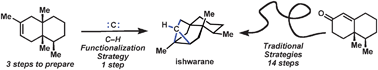 Graphical abstract: C–H functionalization logic in total synthesis