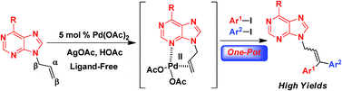 Graphical abstract: Chelation-assisted palladium-catalyzed high regioselective heck diarylation reaction of 9-allyl-9H-purine: synthesis of 9-(3,3-diaryl-allyl)-9H-purines