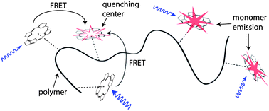 Graphical abstract: Biomimetic zinc chlorin–poly(4-vinylpyridine) assemblies: doping level dependent emission–absorption regimes