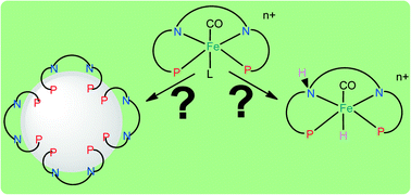 Graphical abstract: Distinguishing homogeneous from nanoparticle asymmetric iron catalysis