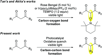 Graphical abstract: Visible-light photocatalytic oxidation of 1,3-dicarbonyl compounds and carbon–carbon bond formation