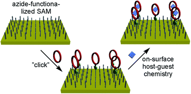 Graphical abstract: The versatility of “click” reactions: molecular recognition at interfaces