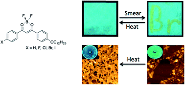 Graphical abstract: Mechanochromic luminescence of halide-substituted difluoroboron β-diketonate dyes