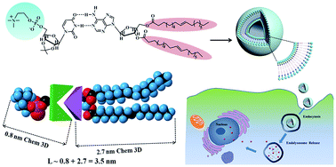 Graphical abstract: Supramolecularly engineered phospholipids constructed by nucleobase molecular recognition: upgraded generation of phospholipids for drug delivery