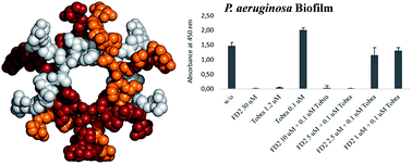 Graphical abstract: Overcoming antibiotic resistance in Pseudomonas aeruginosa biofilms using glycopeptide dendrimers