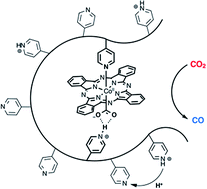 Graphical abstract: Polymer coordination promotes selective CO2 reduction by cobalt phthalocyanine