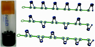 Graphical abstract: Cavity-containing supramolecular gels as a crystallization tool for hydrophobic pharmaceuticals