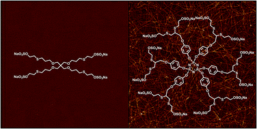 Graphical abstract: Low generation anionic dendrimers modulate islet amyloid polypeptide self-assembly and inhibit pancreatic β-cell toxicity