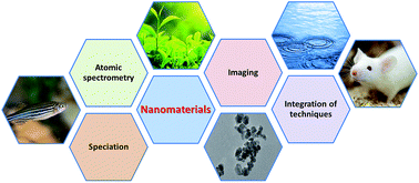 Graphical abstract: Current trends in atomic mass spectrometry for the speciation and imaging of metal-based nanomaterials